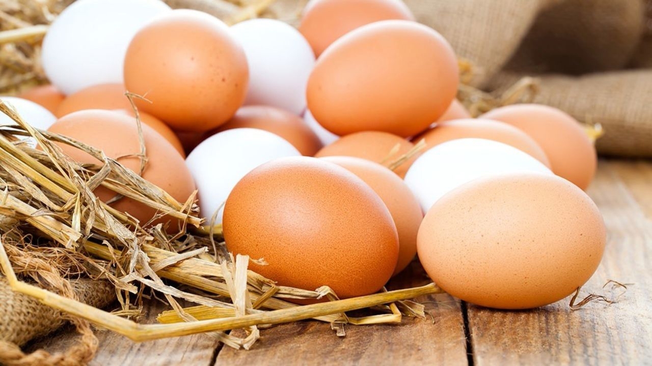 افزایش دوباره قیمت تخم مرغ در بازار