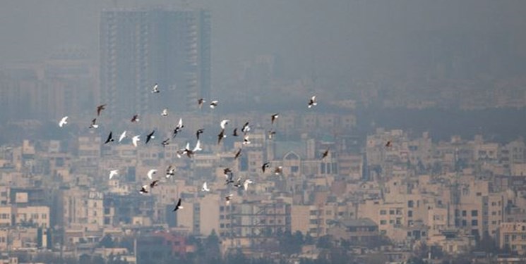  ور‌ود سالانه ۵۷۹ هزار تُن آلودگی هوا به ریه تهرانی‌ها 