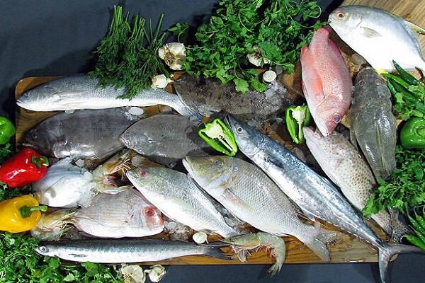 این ماهی‌ها کم تیغ و بی بو هستند؛ راحت بخرید و بخورید! + لیست قیمت