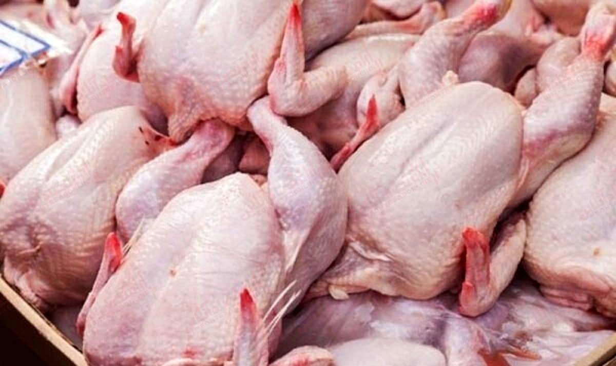 افزایش قیمت مصوب مرغ به ۳۱ هزار تومان/ قیمت اعمالی است نه ابلاغی! 