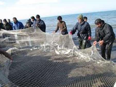 خطر انقراض ماهیان استخوانی دریای خزر