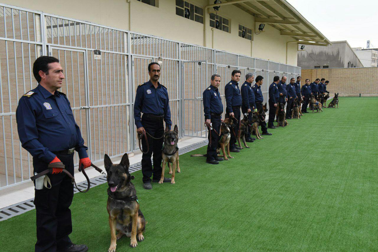 راه‌اندازی مرکز آموزش سگ‌های موادیاب گمرک 