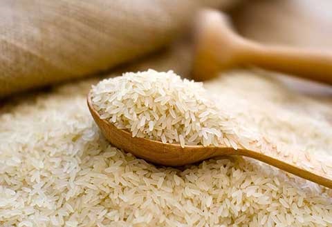 ۲۰ درصد؛ کاهش واردات برنج
