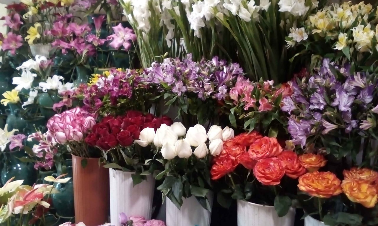 قیمت انواع گل برای شب یلدا چند شد؟