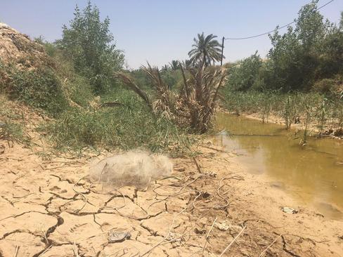 قطع گسترده آب در روستاهای شادگان خوزستان +عکس