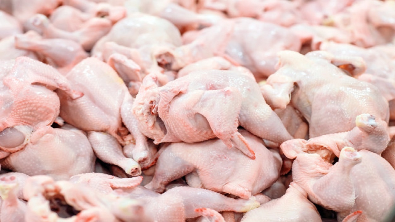 ۲۵تن مرغ گرم امروز در پایتخت توزیع شد