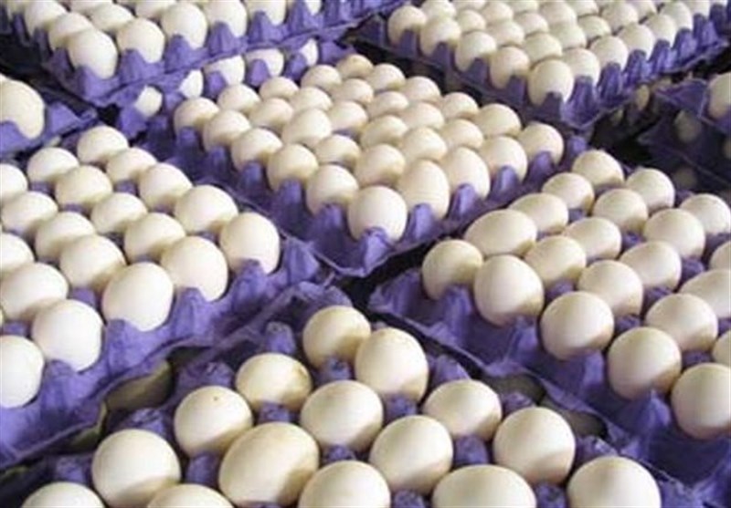 هشدار درباره کمبود تخم مرغ در شهریور و مهر ماه