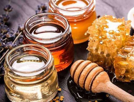 ترفندهای دور نگهداشتن مورچه‌ها از عسل در خانه + لیست قیمت انواع عسل گیاهی