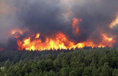 بیش از ۴هکتار جنگل های بهشهر در آتش سوخت