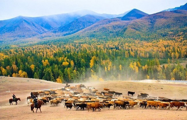 مناظر دیده نشده از چین +تصاویر