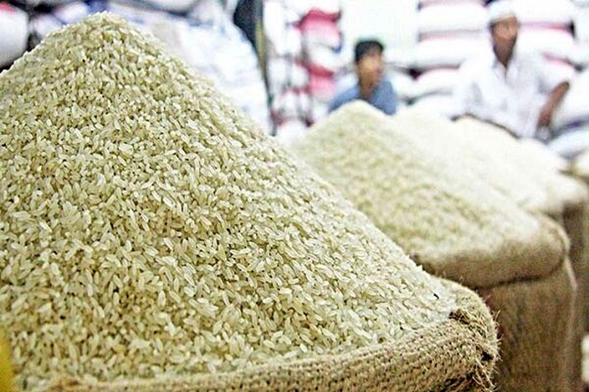قیمت جدید برنج هندی اعلام شد + جدول مهر ۱۴۰۲ (دانه‌بلند، درجه یک، غیرتراریخته و...)