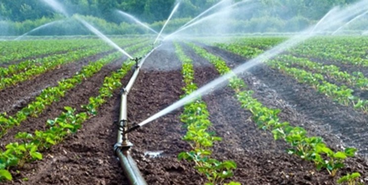  پیشتازی کشاورزان مناطق کم بارش در مدیریت مصرف آب