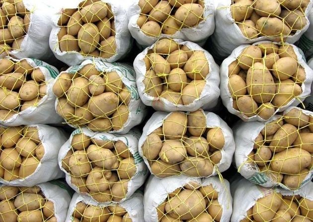 تجمع ۱۱۰۰کامیونی حمل سیب زمینی صادراتی در گمرک