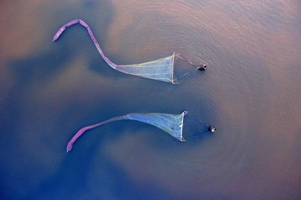صید میگو در دریاچه نمکی شانگهای +عکس
