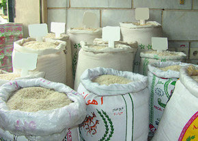 افزایش 70هزار تنی واردات برنج نسبت به سال گذشته/ قاچاق معکوس 50تا 100هزار تن برنج به کشورهای همسایه