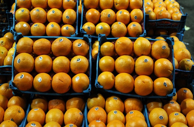 اعلام ضوابط جدید صادرات میوه و تره بار