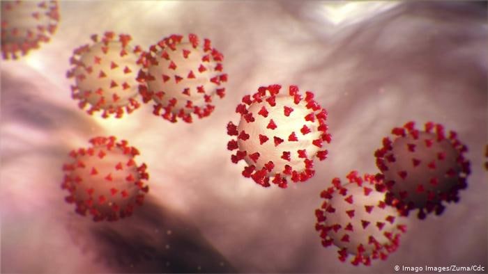 ۲نوع جدید از ویروس کرونا در آمریکا کشف شد