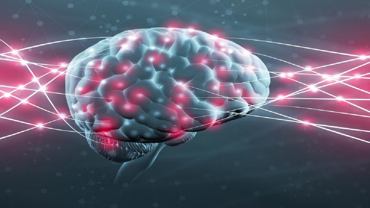 چگونگی ذخیره سازی خاطرات در مغز
