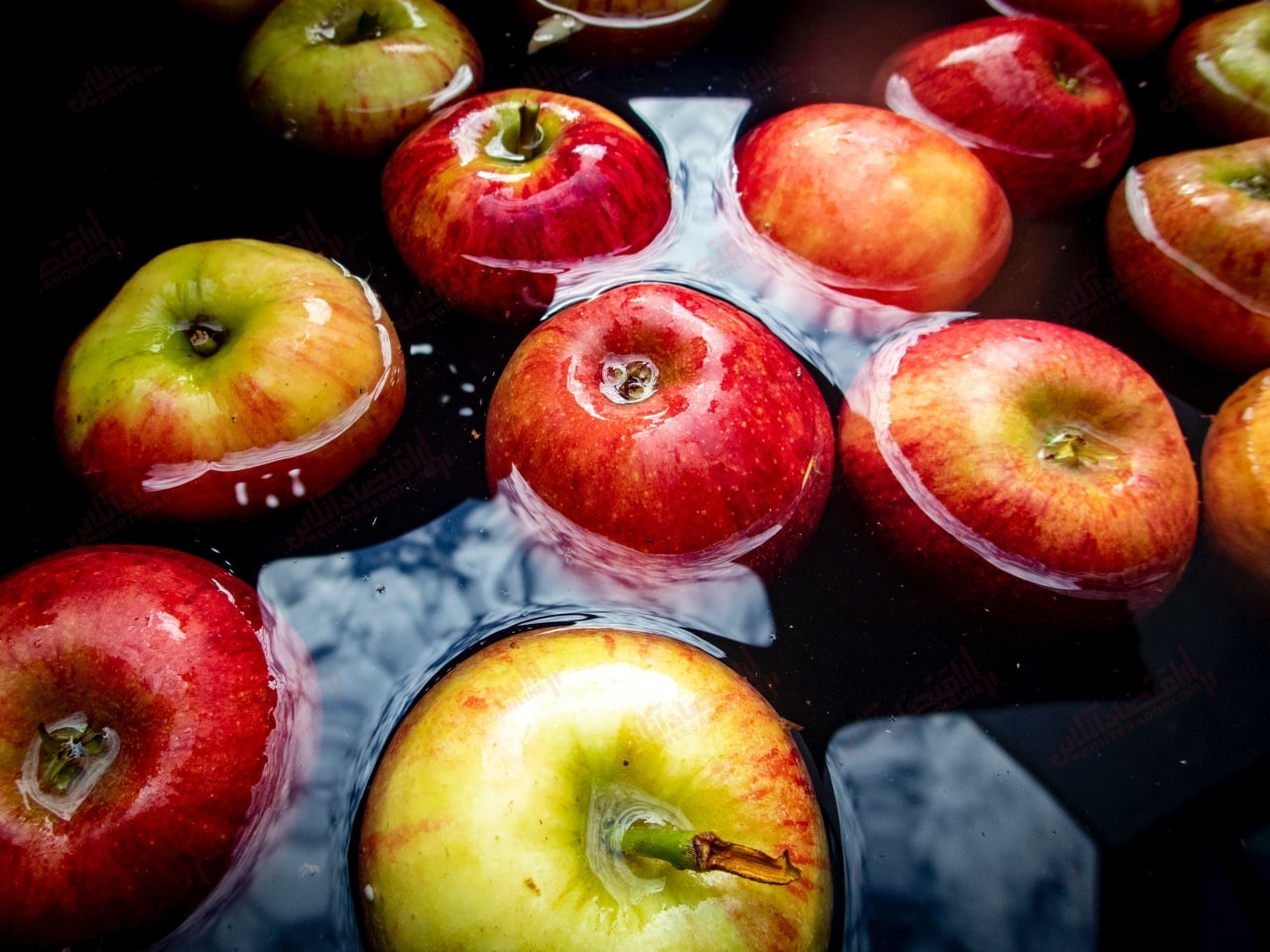 خرید و فروش حواله صادرات سیب رونق گرفت