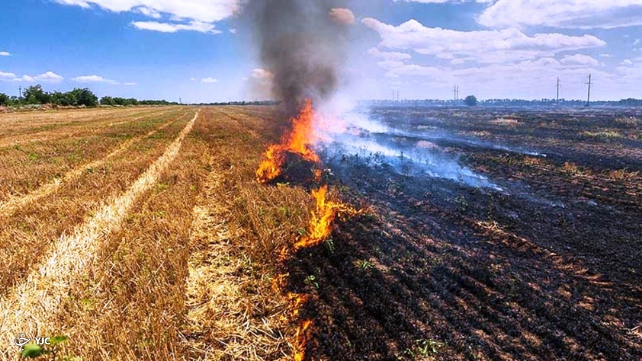 گندمکاران از آتش زدن کاه و کلش در مزارع اجتناب کنند