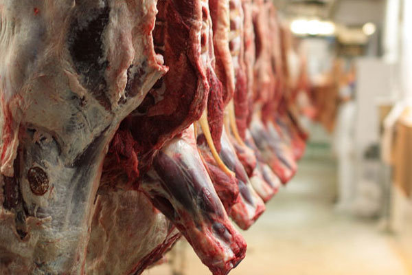 کنترل قیمت گوشت در ایام اربعین 