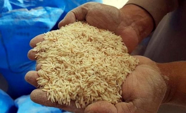 گمرک: برنج های زاهدان در اختیار انبارهای عمومی است