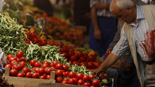قیمت گوجه فرنگی متعادل‌تر می‌شود 