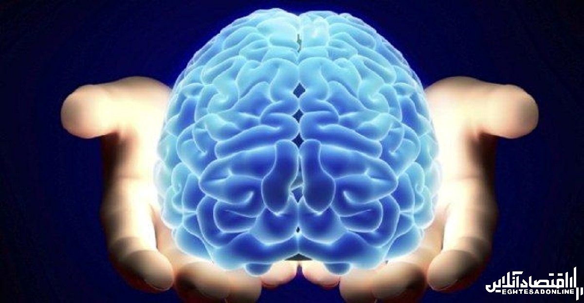چگونه مغز خود را سالم نگه داریم؟