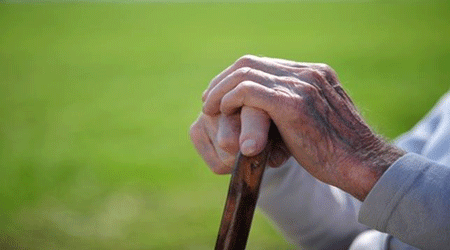 نقش صندلی متحرک در کمک به افزایش قوای سالمندان