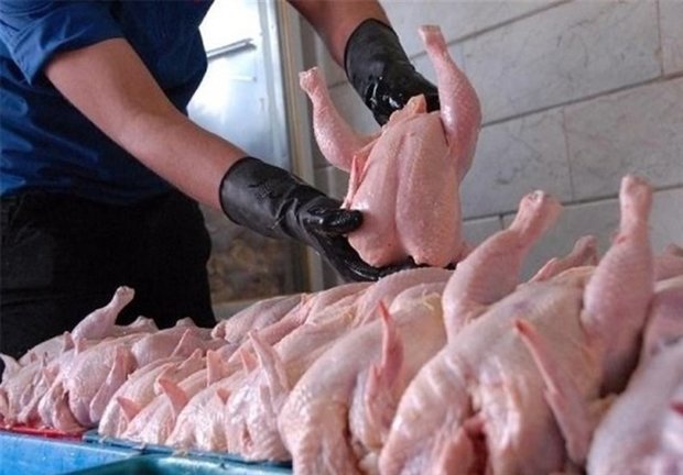 آزادسازی صادرات مرغ تاثیری بر نرخ آن در بازار داخلی ندارد