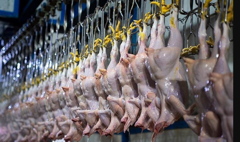قیمت روز گوشت مرغ / ران کیلویی چند؟