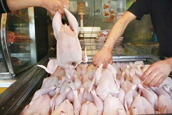 فروش مرغ بالاتر از ۷۹۵۰ تخلف محرز است