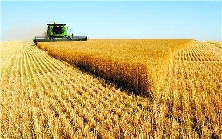 بحث خرید تضمینی، مسئله مهم کشاورزان/ بورس کالا سیاست‌های تشویقی برای حضور بخش کشاورزی را فراهم کند