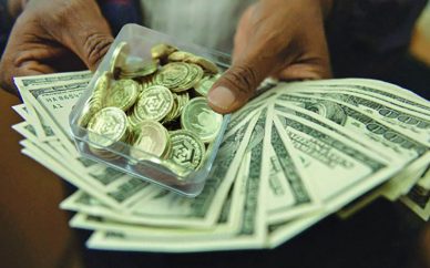 دولت مانند موسسات مالی به ضرر کنندگان دلار کمک نخواهد کرد