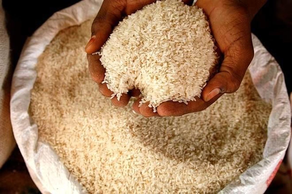 گران فروشی دولت در برنج های نزدیک به تاریخ انقضاء؟