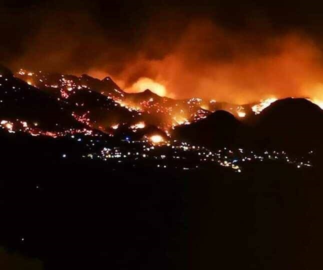  آتش سوزی مهیب در جنگل‌های فرانسه +تصاویر