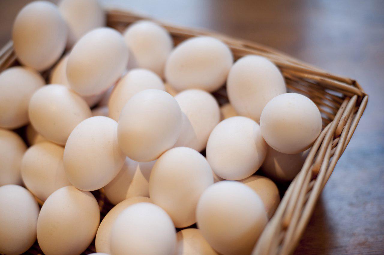 مازاد تولید تخم‌مرغ به روزانه 100تن رسید!/ صادرات اماکن‌پذیر نیست