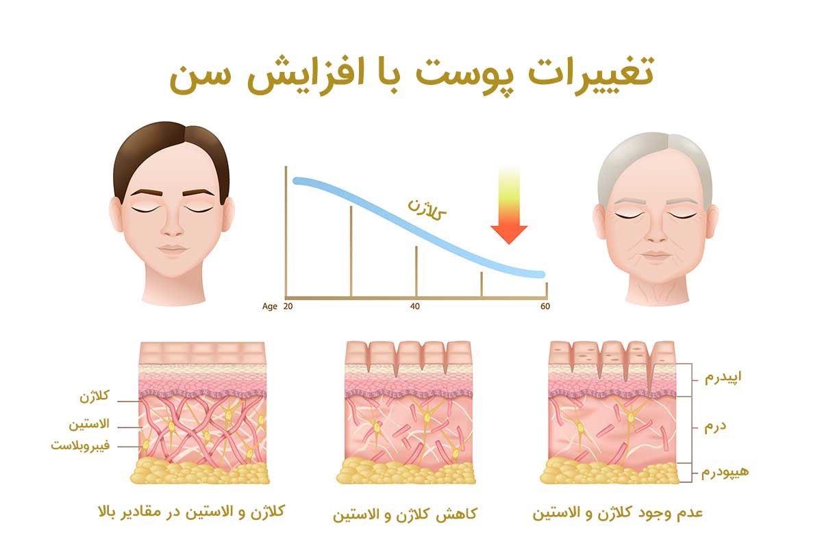 ۸ منبع غذایی عالی برای تقویت کلاژن سازی در بدن - اقتصاد آنلاین