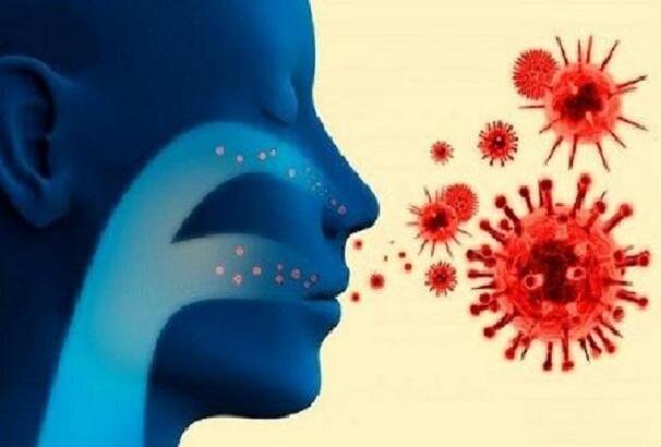 چگونه حس بویایی را بعد از بیماری‌های ویروسی برگردانیم؟