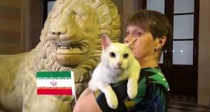 پیشگویی گربه پیشگو برای بازی ایران - اسپانیا +فیلم