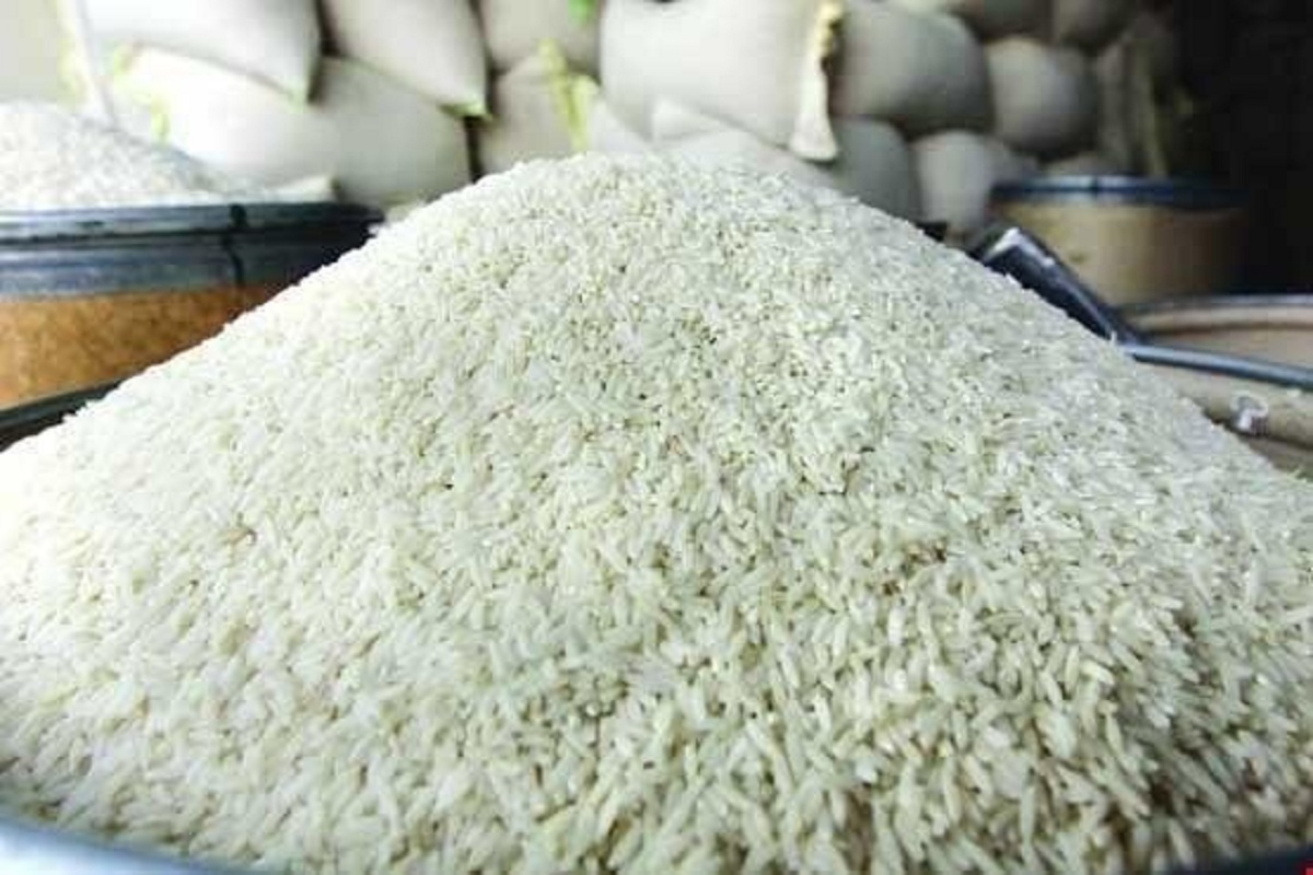 برنج رسوبی در بنادر کشور قابل ترخیص شد