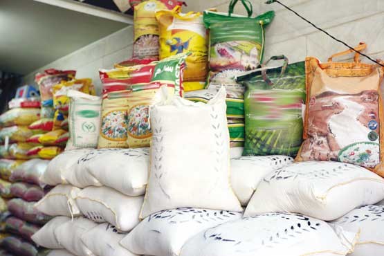 واردات برنج به کشور کاهش یافت