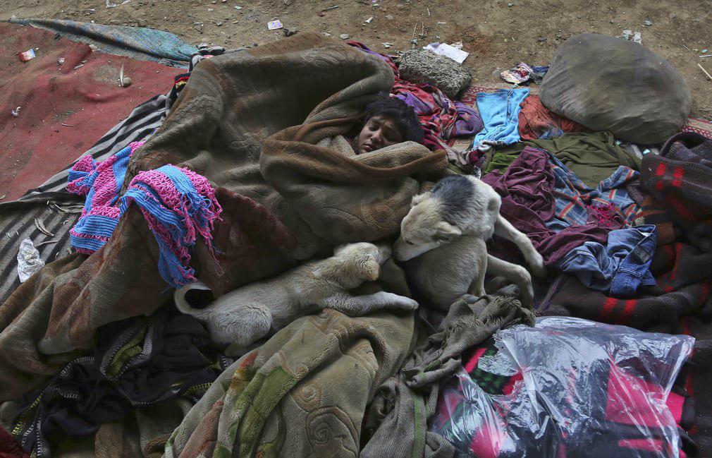 همزیستی کودک بی‌خانمان هندی و سگ‌های آواره +عکس